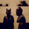Black Tiger Sex Machine