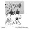 Okvsho +experience