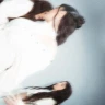 Tanxugueiras: O Cuarto Tour