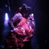 Show de Flamenco con cena o consumición en La Carmela