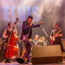 THE ELVIS CONCERT (USA)