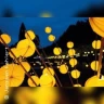 Goldener Sonntag in Bad Pyrmont
