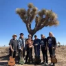 Traveling Wilburys Revue