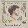 Rémi Boyes - Bombus Terrestris